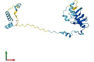 Protein Structure (PS) image for Processing of Precursor 4, Ribonuclease P/MRP Subunit (POP4) (AA 1-220) protein (His tag) (ABIN7551560)