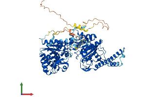 AlphaFold protein structure predicition of Human Recombinant GYS2 Protein, UniprotID P54840