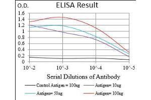 Black line: Control Antigen (100 ng), Purple line: Antigen(10 ng), Blue line: Antigen (50 ng), Red line: Antigen (100 ng), (TCL1A antibody  (AA 10-104))