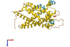UCP2 Protein (AA 1-309) (His tag)