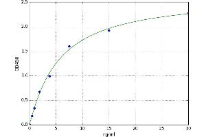 A typical standard curve