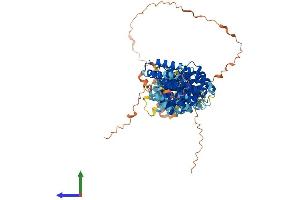 AlphaFold protein structure predicition of Human Recombinant MROH6 Protein, UniprotID A6NGR9 (MROH6 Protein (AA 1-719) (His tag))