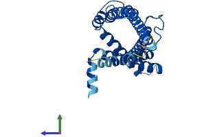 AlphaFold protein structure predicition of Mouse Recombinant Pex11g Protein, UniprotID Q6P6M5 (PEX11G Protein (AA 1-241) (His tag))