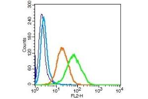 Human U937 cells probed with CD171 Polyclonal Antibody, Unconjugated  (green) at 1:100 for 30 minutes followed by a PE conjugated secondary antibody compared to unstained cells (blue), secondary only (light blue), and isotype control (orange). (L1CAM antibody  (AA 1101-1257))