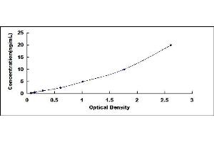 Typical standard curve (XPO5 ELISA Kit)