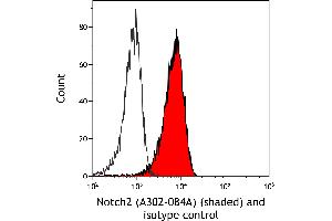 Flow Cytometry (FACS) image for anti-Notch 2 (NOTCH2) (AA 2421-2471) antibody (ABIN7454805) (NOTCH2 antibody  (AA 2421-2471))