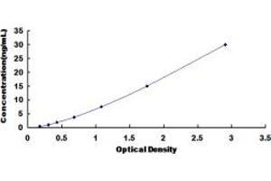 Typical standard curve (MEPE ELISA Kit)