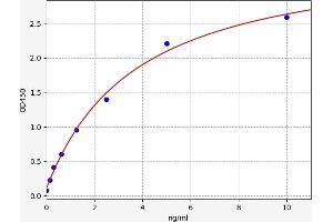 RRM2B ELISA Kit