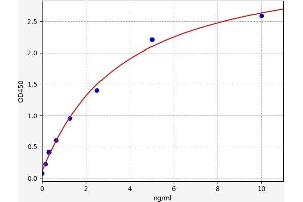 RRM2B ELISA Kit