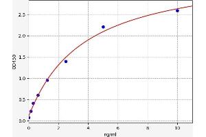 Typical standard curve (RRM2B ELISA Kit)