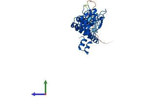 AlphaFold protein structure predicition of Mouse Recombinant Asb9 Protein, UniprotID Q91ZT8