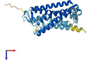 Olfactory Receptor, Family 4, Subfamily K, Member 2 (OR4K2) (AA 1-314) protein (His tag)