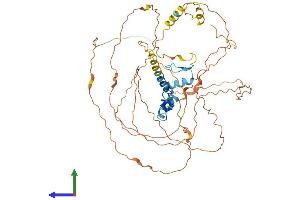 AlphaFold protein structure predicition of Human Recombinant EGR1 Protein, UniprotID P18146