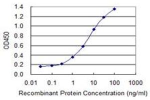 Detection limit for recombinant GST tagged METTL2B is 0. (METTL2B antibody  (AA 41-108))
