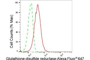 Flow cytometric analysis of Glutathione-disulfide reductase expression in HeLa cells using Glutathione-disulfide reductase antibody (ABIN7798754), 1:2,000). (Recombinant Glutathione Reductase antibody)