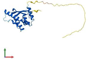 AlphaFold protein structure predicition of Mouse Recombinant Snx10 Protein, UniprotID Q9CWT3