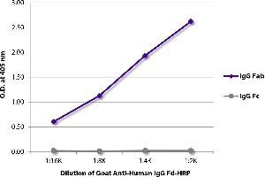 ELISA plate was coated with purified human IgG Fab and IgG Fc. (Goat anti-Human IgG (Fd Region) Antibody (HRP))