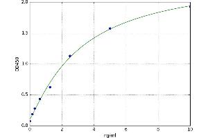 Doublecortin-Like Kinase 1 (DCLK1) ELISA Kit