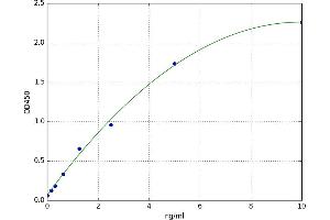 Osteoactivin (GPNMB) ELISA Kit