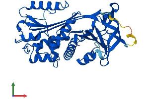 Protein Structure (PS) image for serpin Peptidase Inhibitor, Clade B (Ovalbumin), Member 5 (SERPINB5) (AA 1-375) protein (His tag) (ABIN7546157)