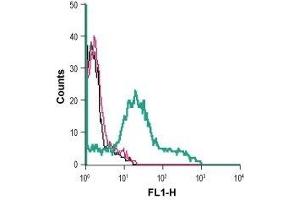 Cell surface detection of P2RX1 in live intact human MEG-01 megakaryoblastic leukemia cells: (black line) Cells. (P2RX1 antibody  (Extracellular) (FITC))