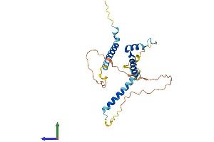 AlphaFold protein structure predicition of Mouse Recombinant Gemin8 Protein, UniprotID Q8BHE1 (GEMIN8 Protein (AA 1-238) (His tag))