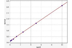 Fms-Related Tyrosine Kinase 4 (FLT4) ELISA Kit