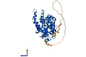 AlphaFold protein structure predicition of Mouse Recombinant Gtdc1 Protein, UniprotID Q8BW56
