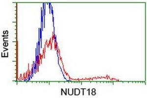 HEK293T cells transfected with either RC204376 overexpress plasmid (Red) or empty vector control plasmid (Blue) were immunostained by anti-NUDT18 antibody (ABIN2455234), and then analyzed by flow cytometry. (NUDT18 antibody)