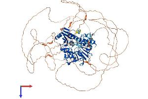 AlphaFold protein structure predicition of Human Recombinant DCLRE1A Protein, UniprotID Q6PJP8 (SNM1 Protein (AA 1-1040) (His tag))