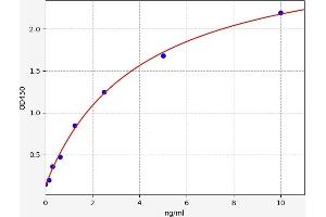 FOXO1 ELISA Kit