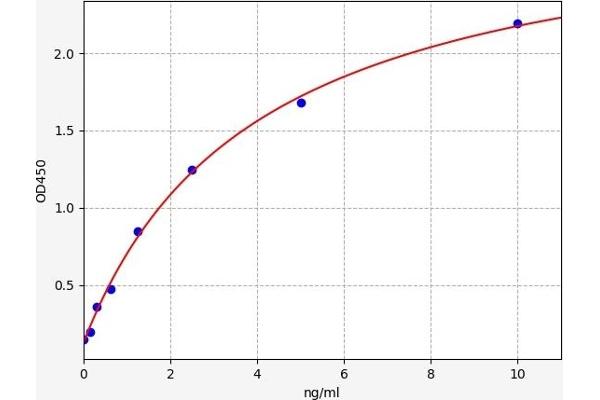 FOXO1 ELISA Kit