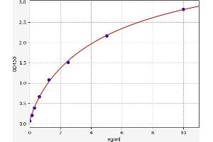 Typical standard curve (NR2C1 ELISA Kit)