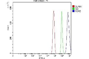 Flow Cytometry analysis of RH35 cells using anti-ROR Beta/RORB antibody (ABIN7599423).