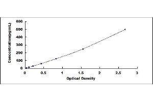 Typical standard curve (TNF alpha ELISA Kit)