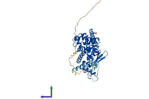Protein Structure (PS) image for Nuclear Receptor Subfamily 1, Group I, Member 2 (NR1I2) (AA 1-434) protein (His tag) (ABIN7554800)