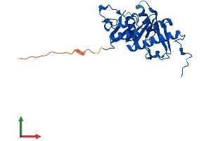 Protein Structure (PS) image for APAF1 Interacting Protein (APIP) (AA 1-241) protein (His tag) (ABIN7556333)