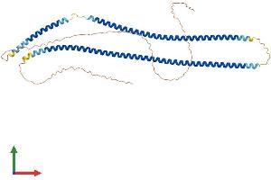 Protein Structure (PS) image for Keratin 16 (KRT16) (AA 1-469) protein (His tag) (ABIN7556437)