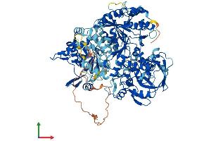 AlphaFold protein structure predicition of Human Recombinant IREB2 Protein, UniprotID P48200