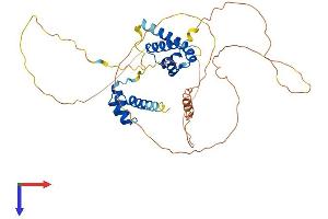 AlphaFold protein structure predicition of Human Recombinant POU4F2 Protein, UniprotID Q12837 (POU4F2 Protein (AA 1-409) (His tag))