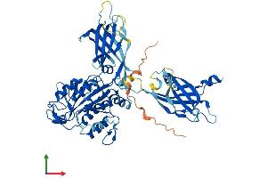 AlphaFold protein structure predicition of Mouse Recombinant Cpne7 Protein, UniprotID Q0VE82