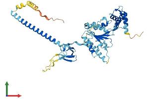 AlphaFold protein structure predicition of Mouse Recombinant Psmc3 Protein, UniprotID O88685 (PSMC3 Protein (AA 1-442) (His tag))