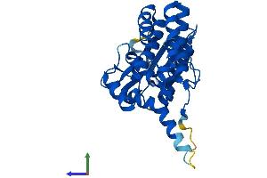 AlphaFold protein structure predicition of Human Recombinant FN3K Protein, UniprotID Q9H479 (FN3K Protein (AA 1-309) (His tag))