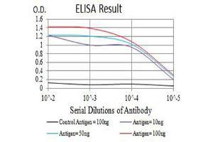 Black line: Control Antigen (100 ng),Purple line: Antigen (10 ng), Blue line: Antigen (50 ng), Red line:Antigen (100 ng) (IFNGR1 antibody  (AA 18-245))