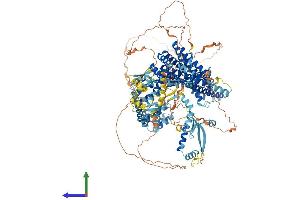 Protein Structure (PS) image for SIN3 homolog A, transcription regulator (SIN3A) (AA 1-1273) protein (His tag) (ABIN7555506)