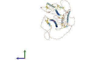 Protein Structure (PS) image for Trafficking Protein, Kinesin Binding 1 (TRAK1) (AA 1-953) protein (His tag) (ABIN7555818)