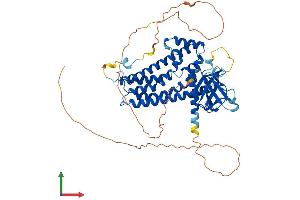 AlphaFold protein structure predicition of Mouse Recombinant Arhgef3 Protein, UniprotID Q91X46