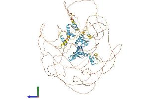 Protein Structure (PS) image for RE1-Silencing Transcription Factor (REST) (AA 1-1097) protein (His tag) (ABIN7555206)