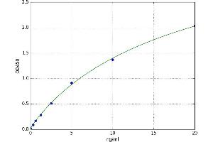 Dihydrolipoamide Branched Chain Transacylase E2 (DBT) ELISA Kit