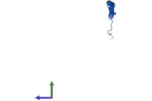 AlphaFold protein structure predicition of Human Recombinant ATP6V1G2 Protein, UniprotID O95670
